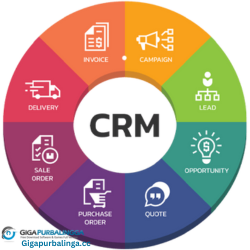 PGCSoft CRM Express Professional