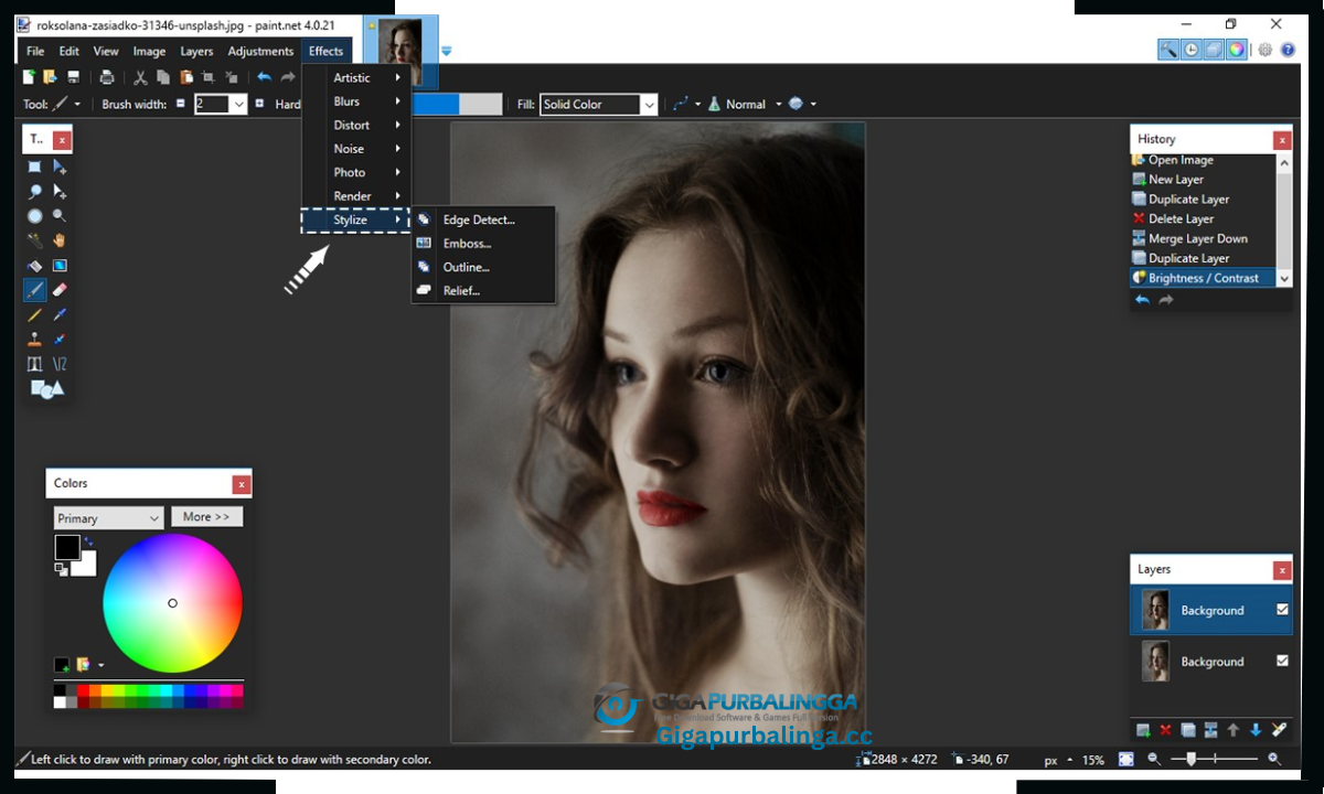 Paint.NET Download 