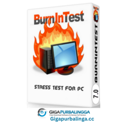 PassMark BurnInTest Pro