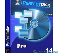 PerfectDisk Professional Business