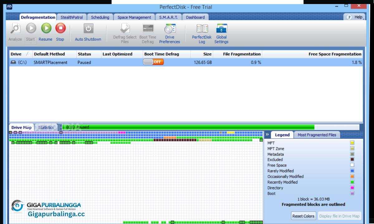 PerfectDisk Professional Business Download