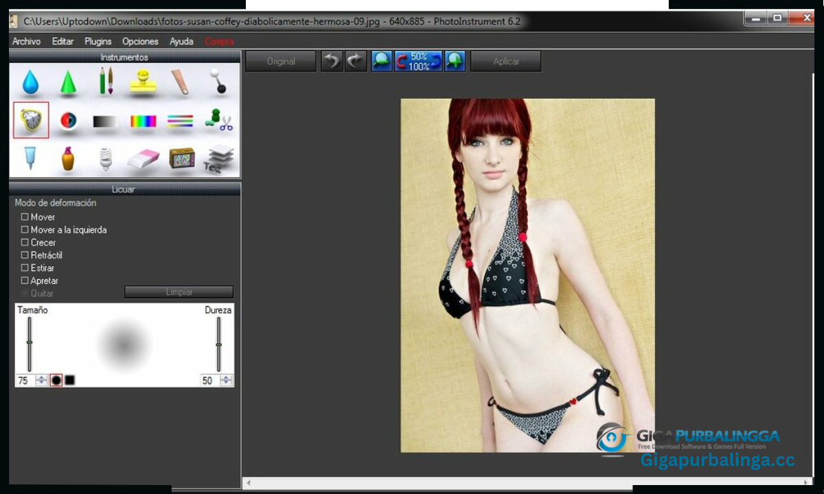 PhotoInstrument download