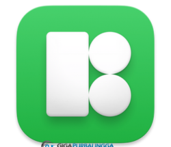 Pichon (Icons8)