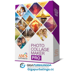 Picture Collage Maker Pro