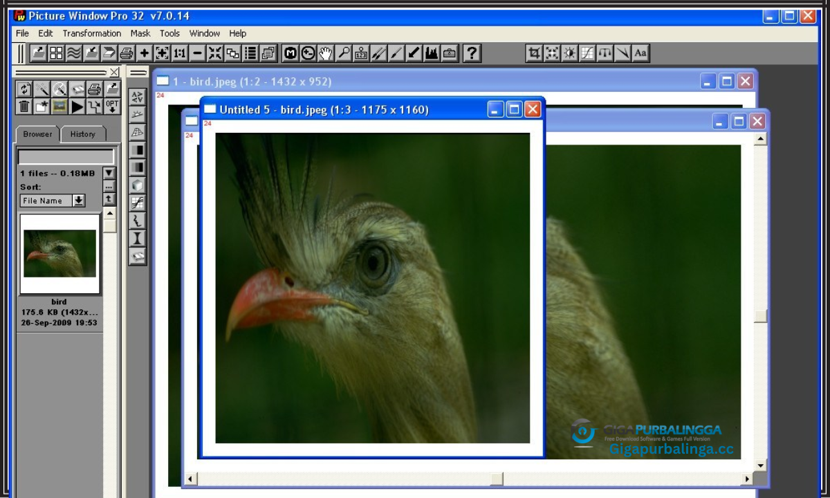 Picture Window Pro Download