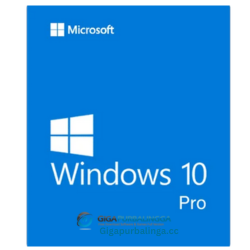 Picture Window Pro