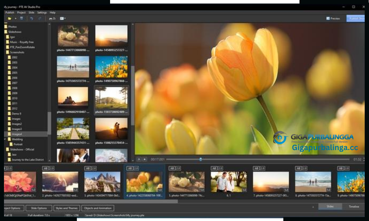 PicturesToExe Deluxe Download