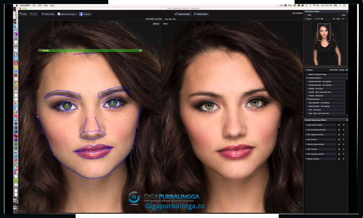 PortraitPro Download