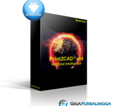 Print2CAD