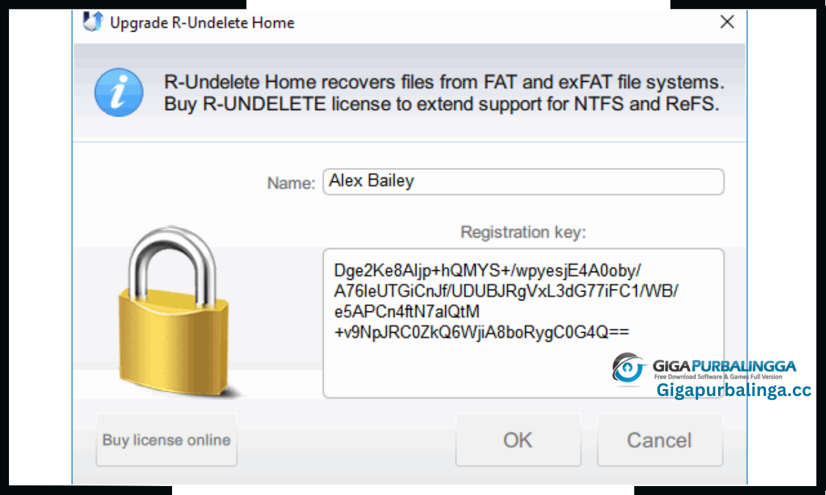 R-Undelete Download