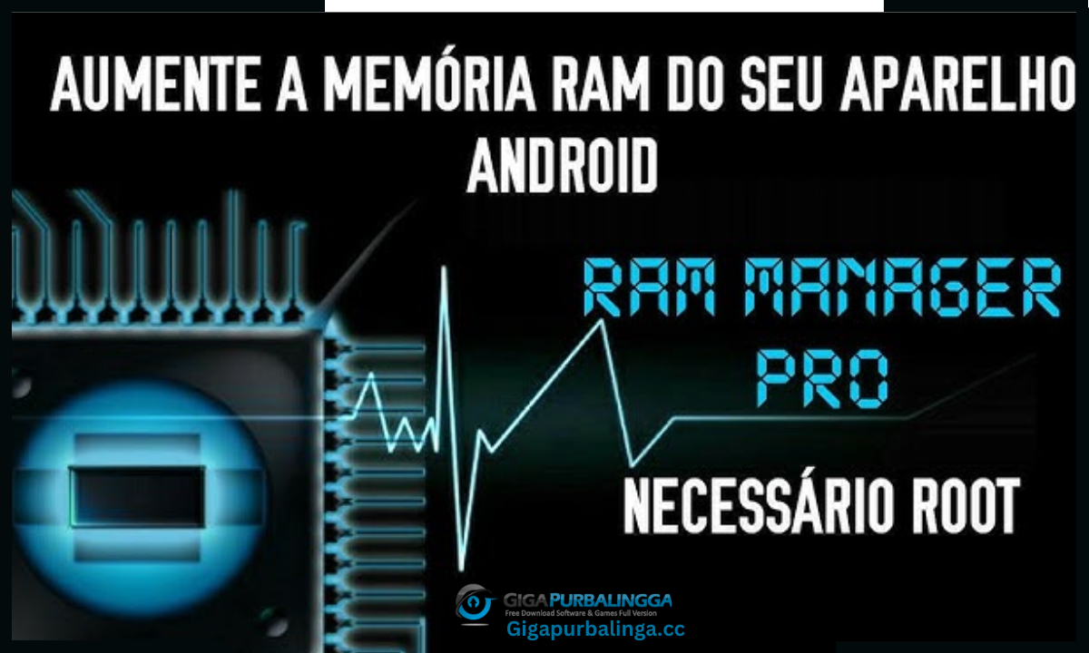 RAM Manager Pro download