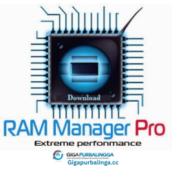 RAM Manager Pro