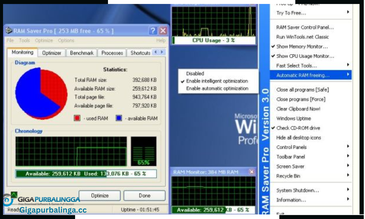 RAM Saver Professional Download