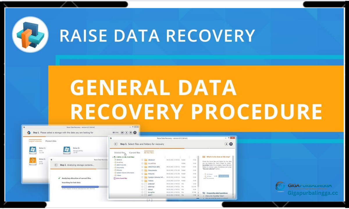 Raise Data Recovery Download