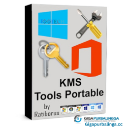 Ratiborus KMS Tools