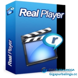 RealPlayer