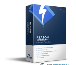 Reason Core Security