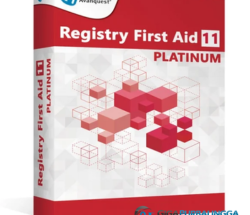 Registry First Aid Platinum