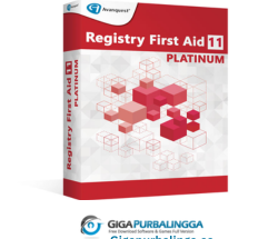 Registry FirstAid Platinum