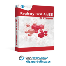 Registry FirstAid Platinum