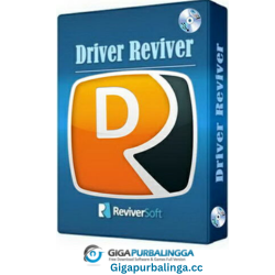 ReviverSoft Driver