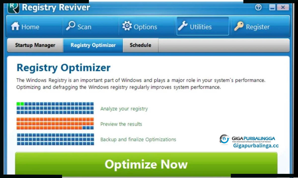 ReviverSoft Registry Reviver Download