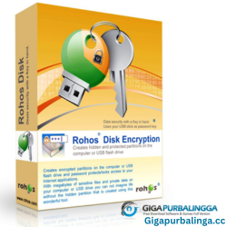 Rohos Disk Encryption