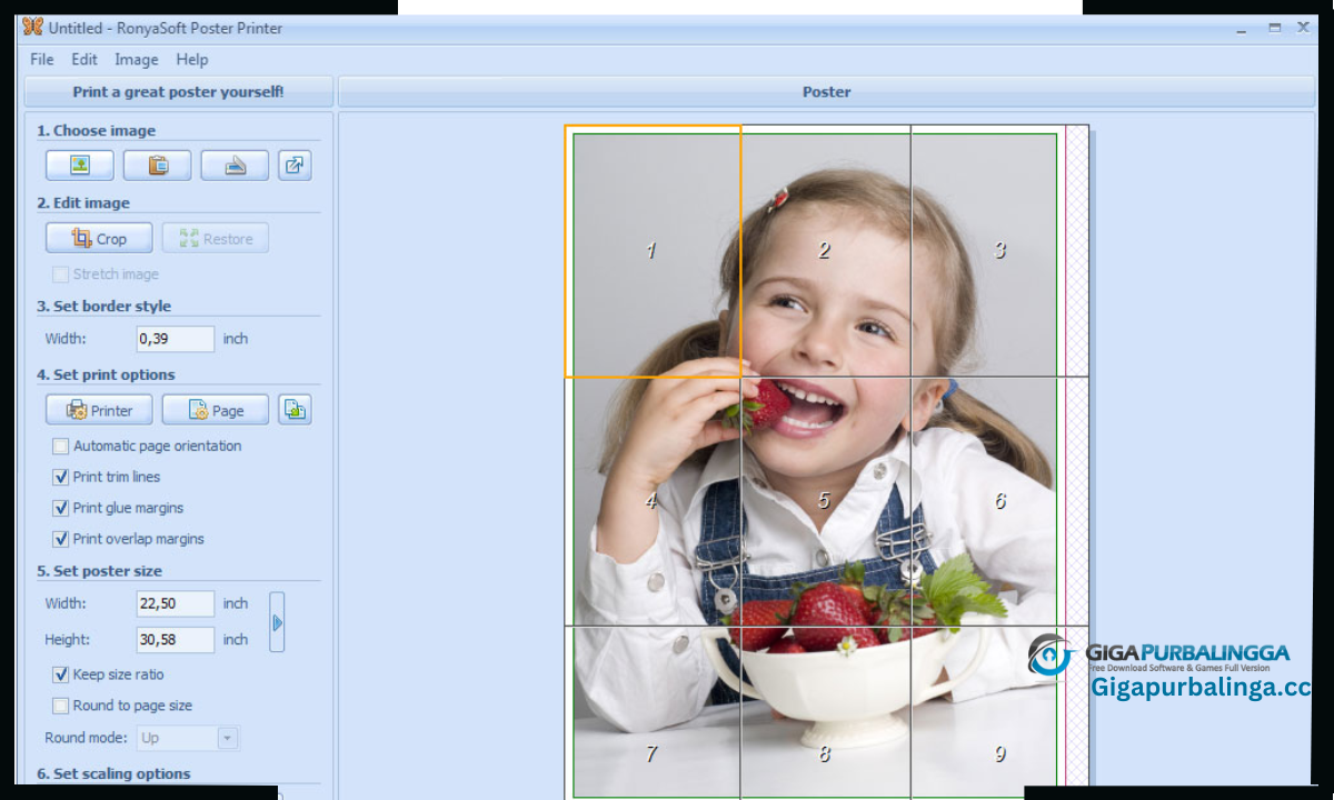 RonyaSoft Poster Printer Download