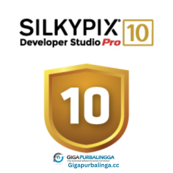 SILKYPIX Developer Studio Pro