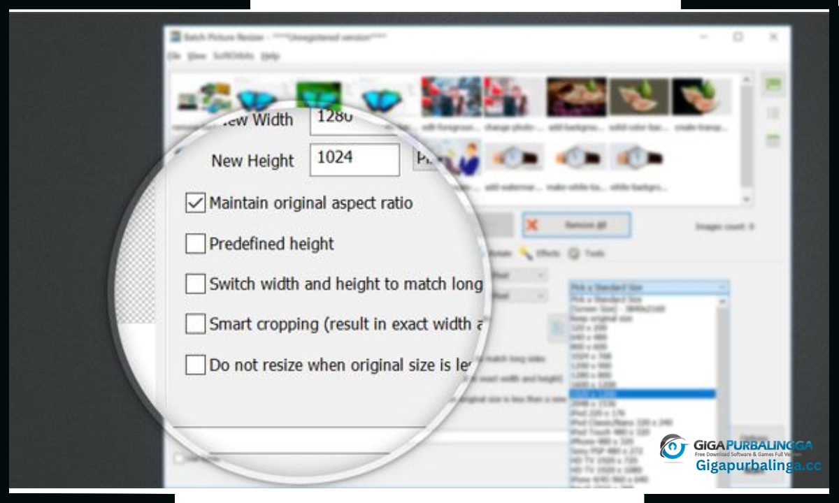 SoftOrbits Batch Picture Resizer Download