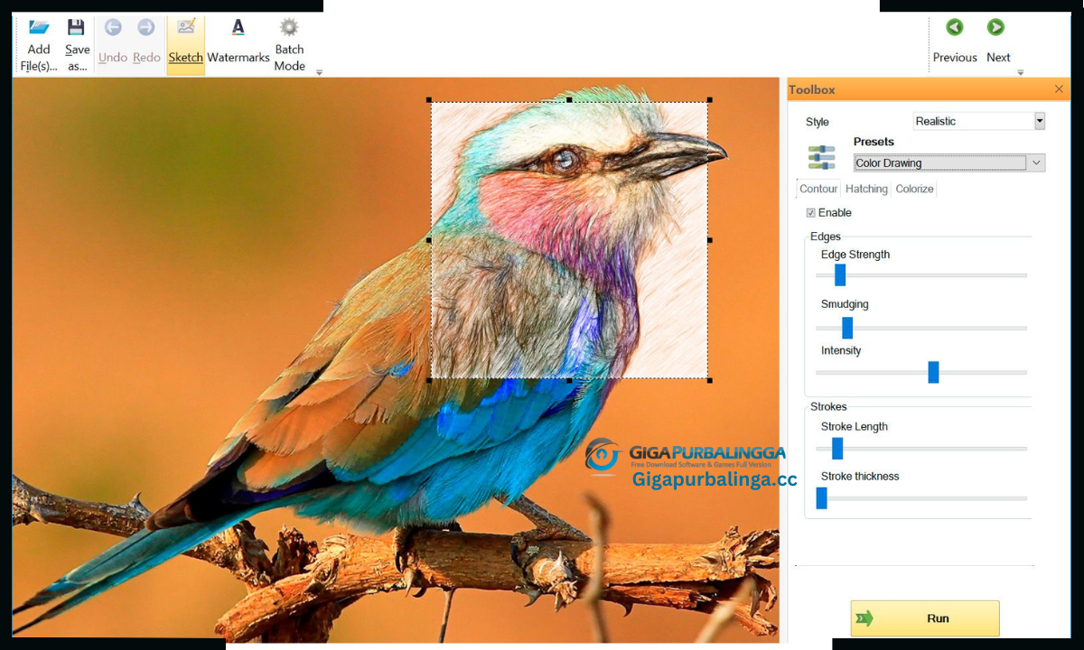 SoftOrbits Photo Retoucher Download