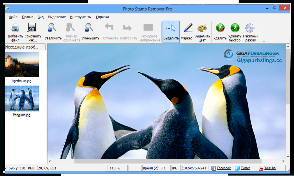 SoftOrbits Photo Stamp Remover Download