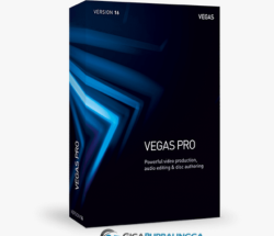 Sony Vegas Pro