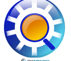 Sothink SWF Decompiler