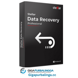 Stellar Phoenix Windows Data Recovery