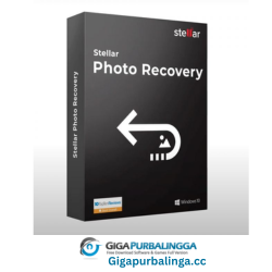 Stellar Photo Recovery
