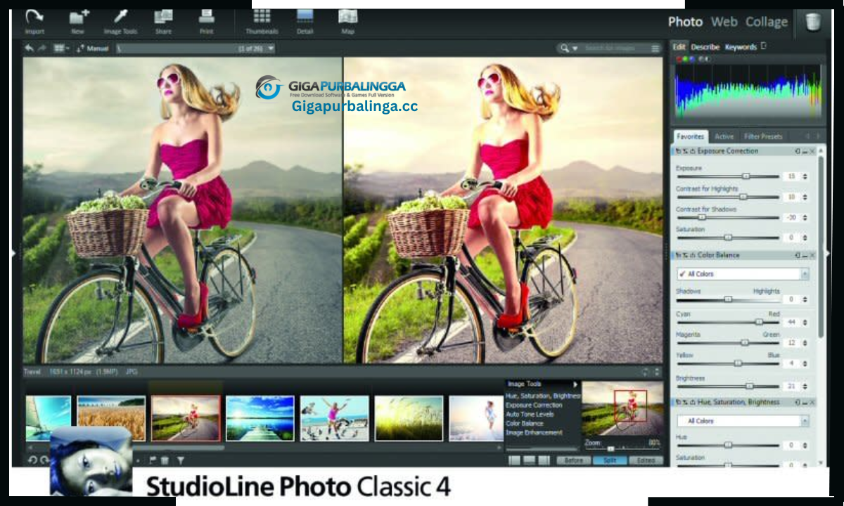 StudioLine Photo Classic Plus Download