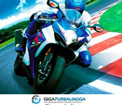 Superbike Racers