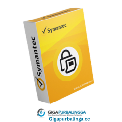 Symantec Encryption Desktop Pro