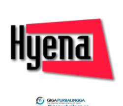Systemtools Hyena