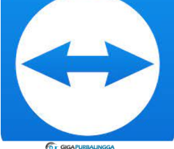 TeamViewer