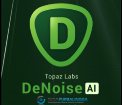 Topaz Denoise 6 Crack