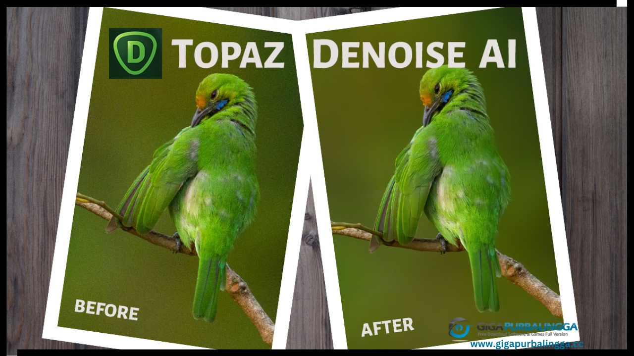 Topaz Denoise 6 Full Crack
