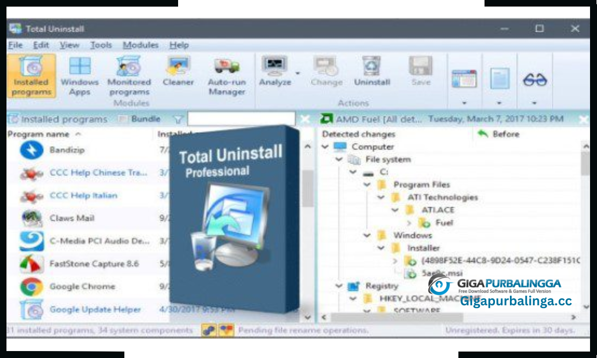 Total Uninstall Professional Download