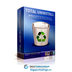 Total Uninstall Professional