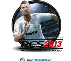 PES 2013