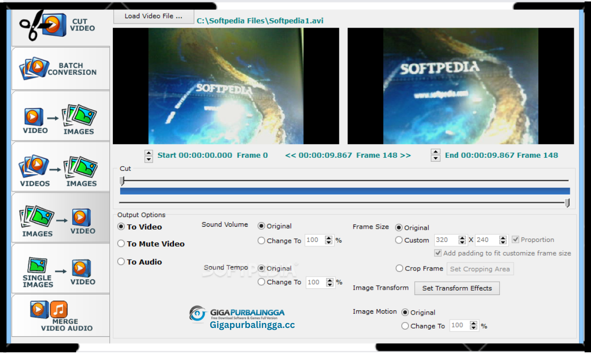 Video Image Master Pro Download