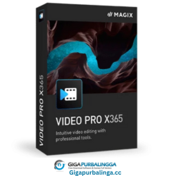 Video Magic Pro