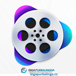 VideoProc