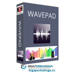 WavePad Sound Editor Masters